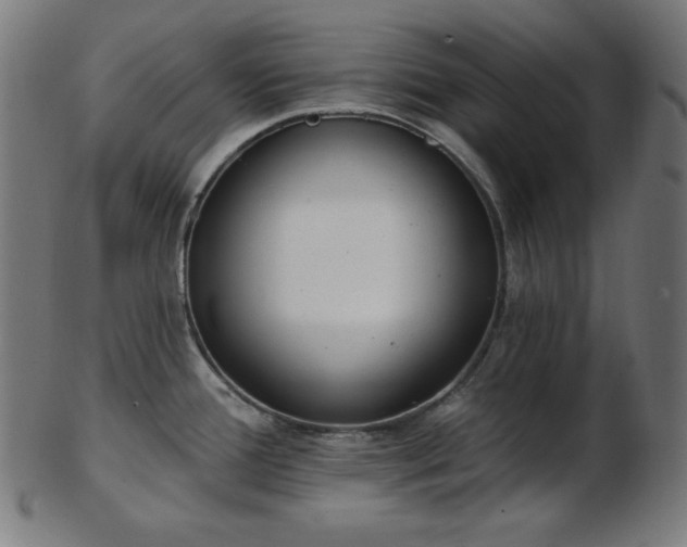 X0000103461388200809121553