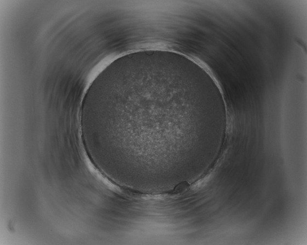 X0000103461389200809121553