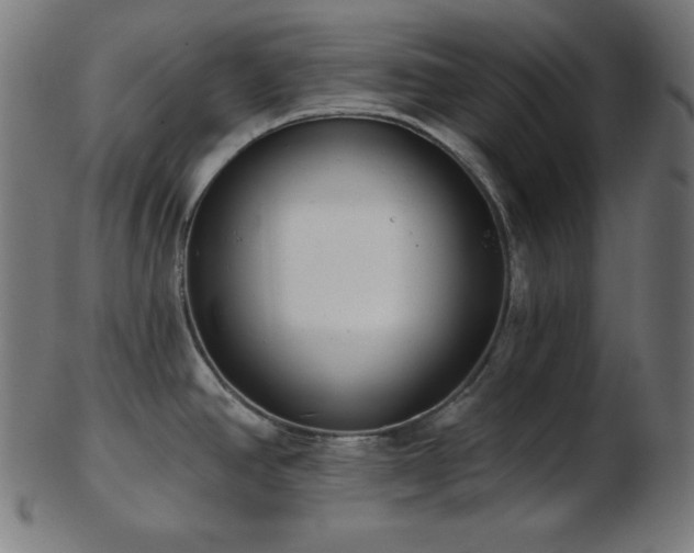 X0000103461390200809121553
