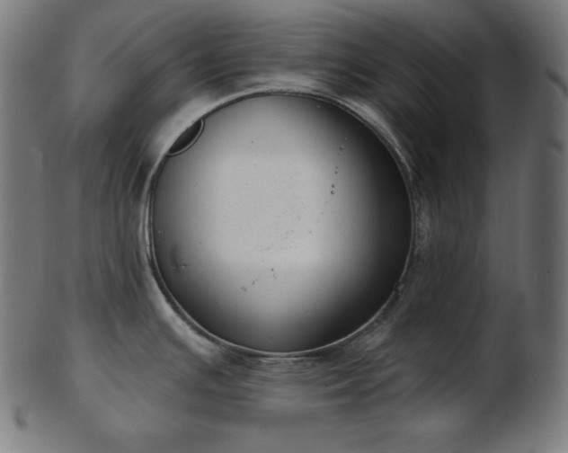 X0000103461391200809121553