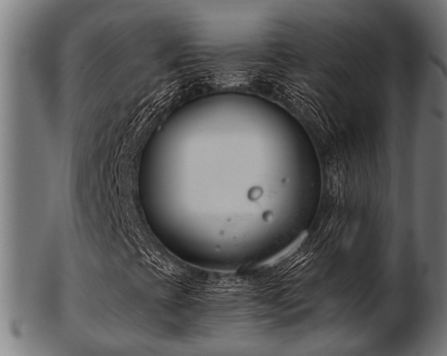 X0000103461393200809121553