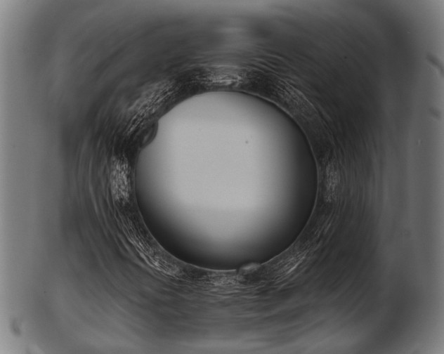 X0000103461394200809121553
