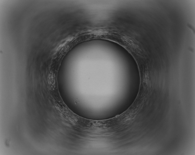X0000103461398200809121553