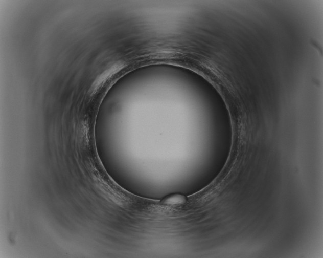 X0000103461402200809121553