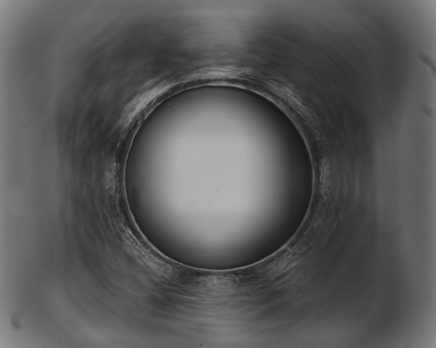 X0000103461404200809121553