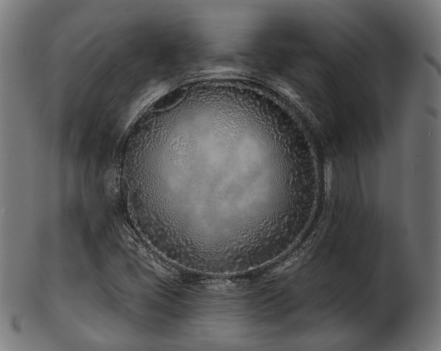 X0000103461405200809121553
