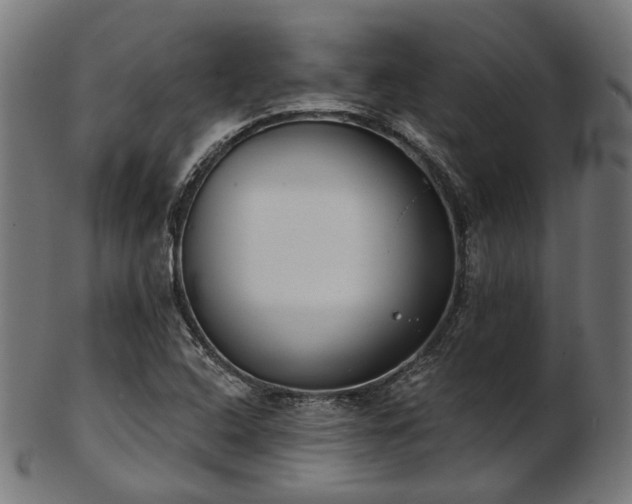 X0000103461408200809121553
