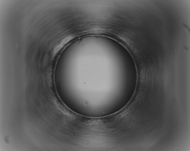 X0000103461410200809121553