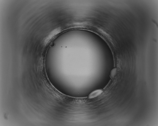 X0000103461411200809121553