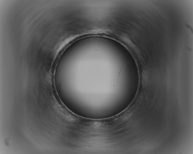 X0000103461412200809121553