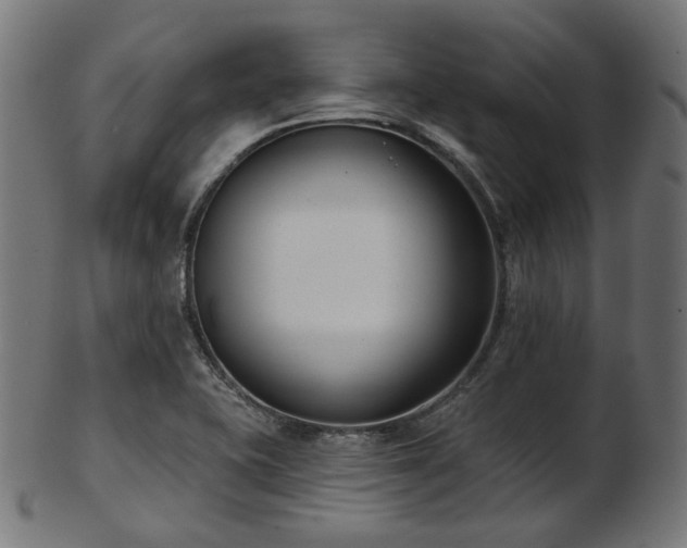 X0000103461415200809121553