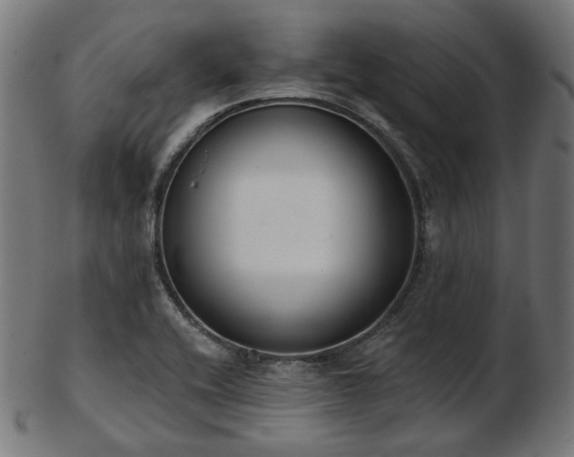 X0000103461416200809121553