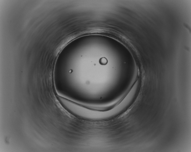 X0000103461417200809121553