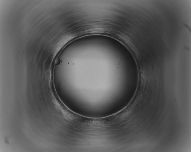 X0000103461418200809121553
