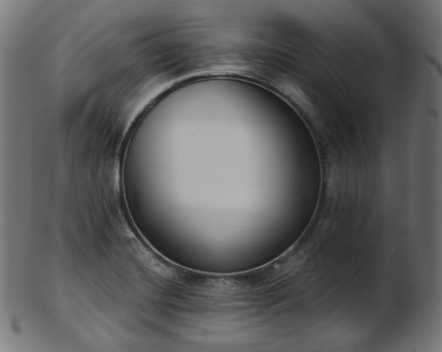 X0000103461420200809121553