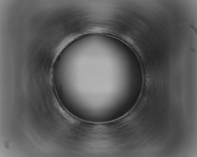 X0000103461421200809121553
