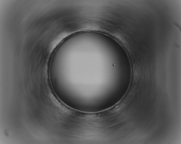 X0000103461422200809121553
