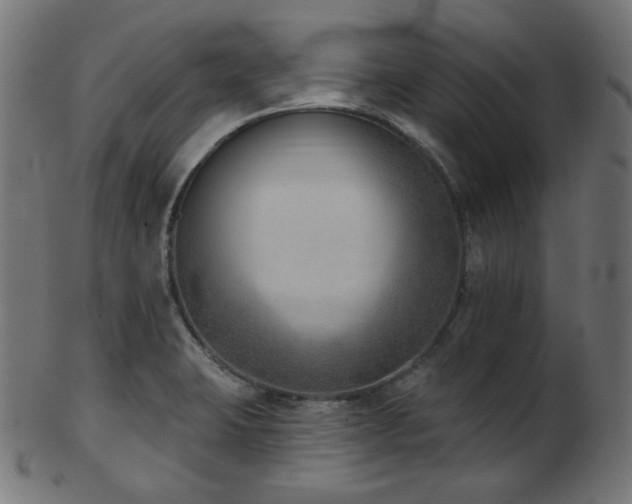 X0000103461423200809121553