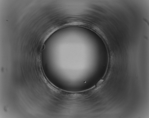 X0000103461425200809121553