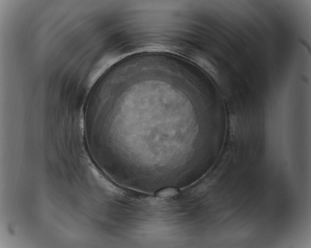 X0000103461428200809121553