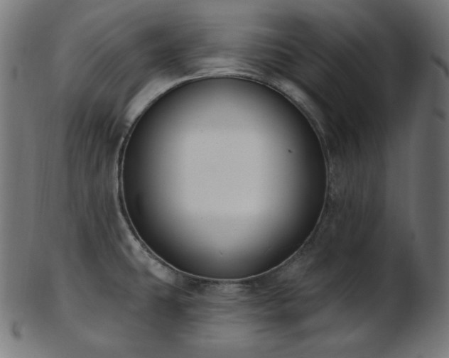X0000103461431200809121553