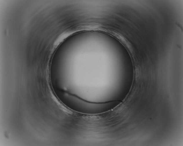 X0000103461432200809121553