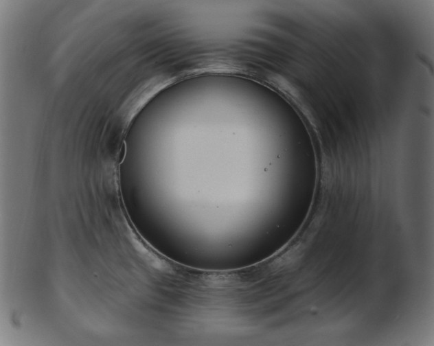 X0000103461433200809121553