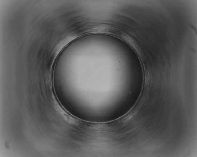 X0000103461434200809121553