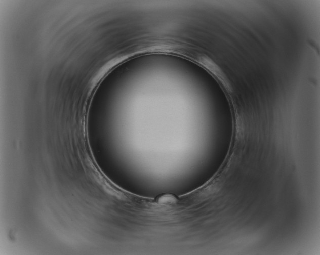 X0000103461436200809121553
