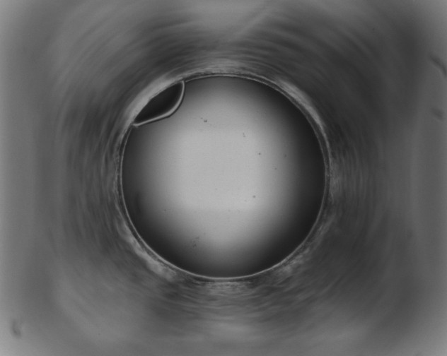 X0000103461437200809121553