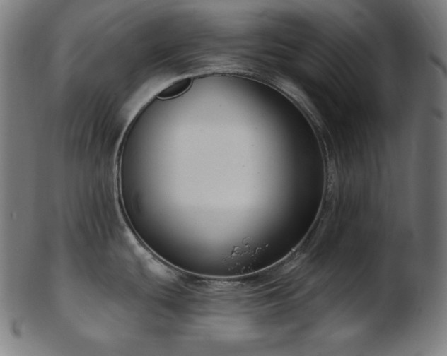 X0000103461439200809121553