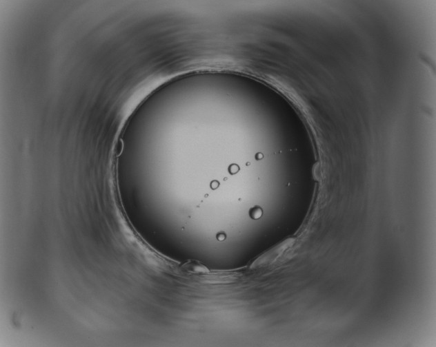 X0000103461440200809121553