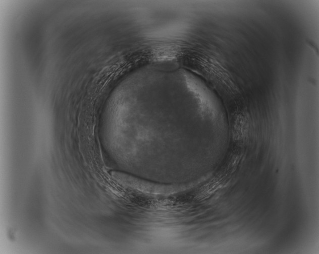 X0000103461441200809121553