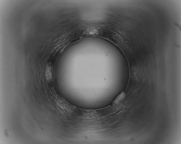 X0000103461442200809121553