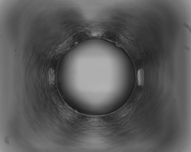 X0000103461443200809121553