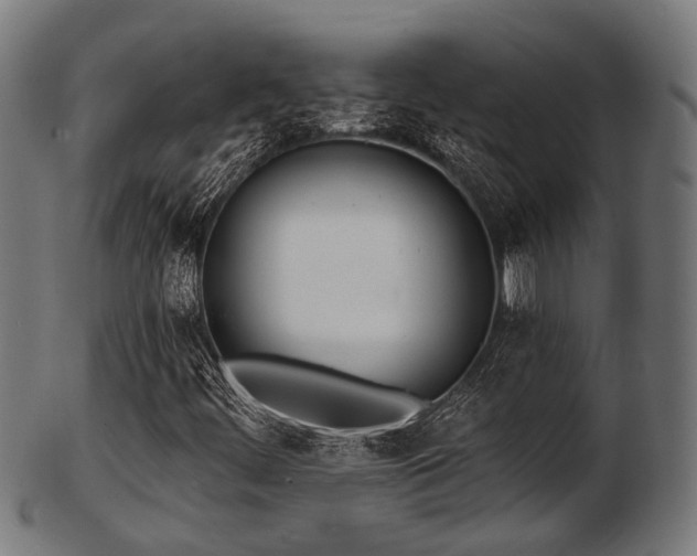 X0000103461444200809121553
