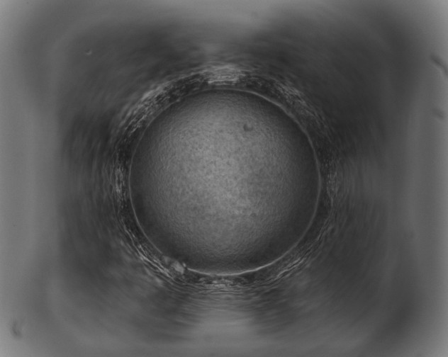 X0000103461445200809121552