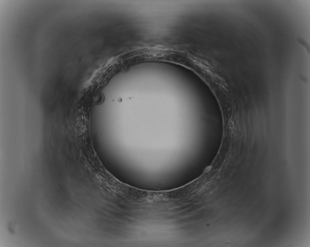 X0000103461447200809121552