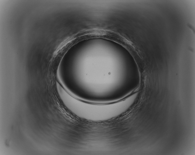 X0000103461448200809121552
