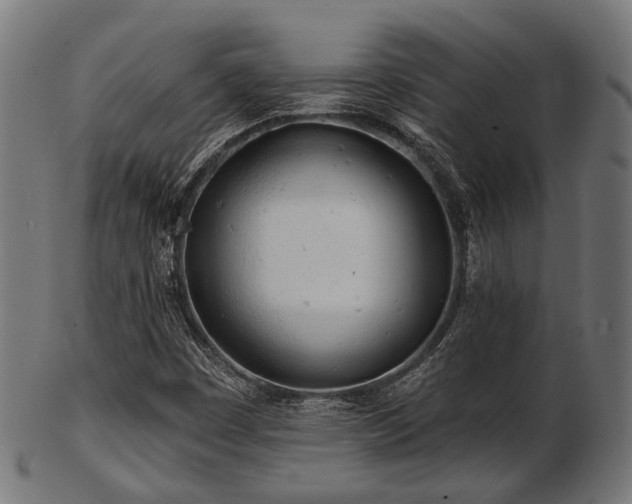 X0000103461449200809121552