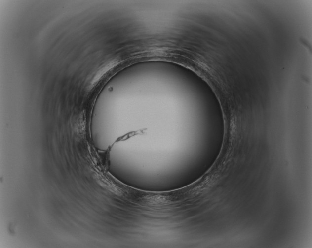 X0000103461450200809121552