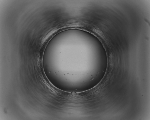 X0000103461452200809121552