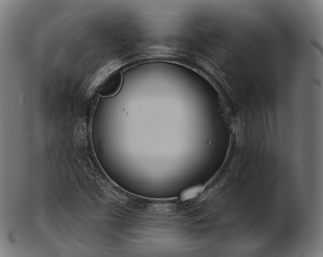 X0000103461453200809121552