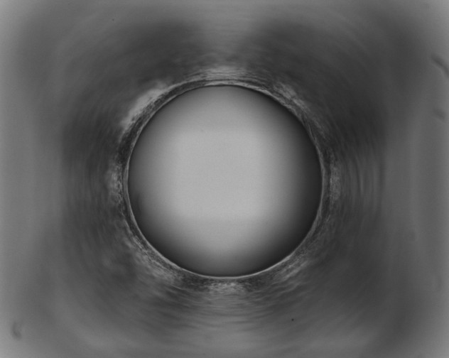 X0000103461454200809121552