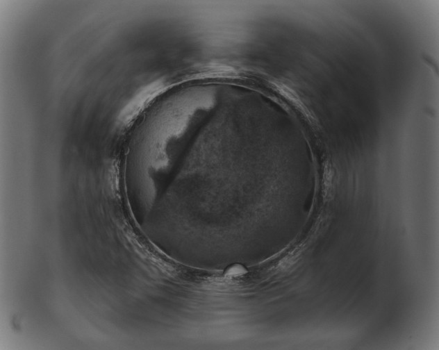 X0000103461455200809121552