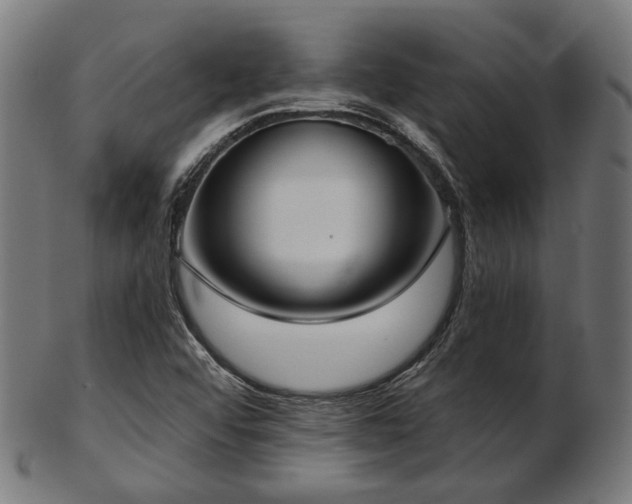 X0000103461456200809121552