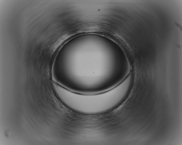 X0000103461457200809121552