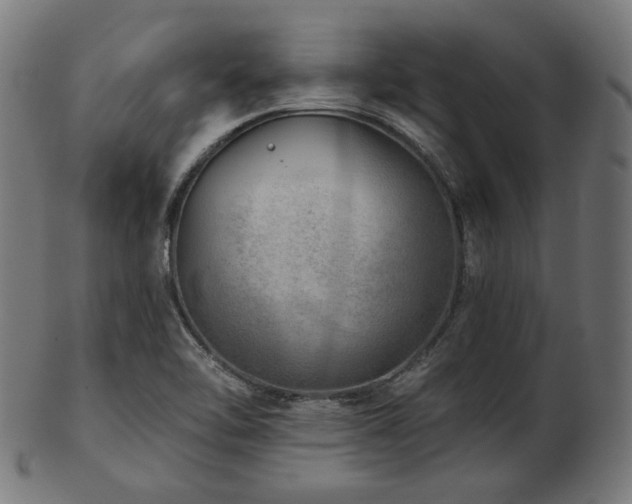 X0000103461462200809121552