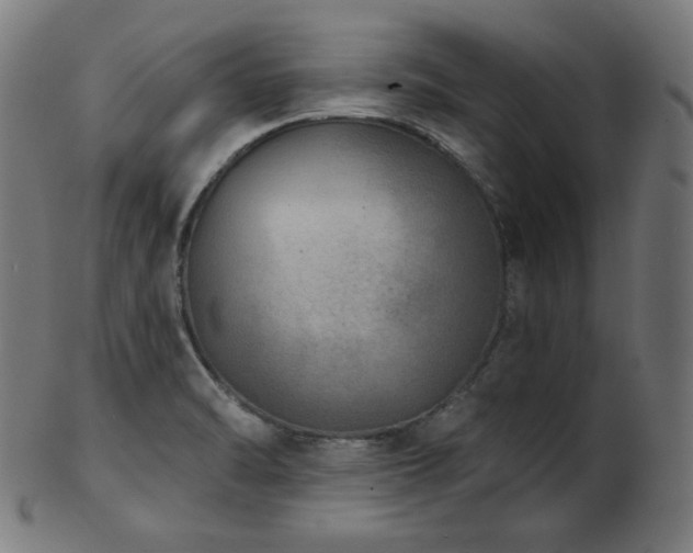 X0000103461470200809121552