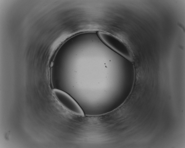 X0000103461472200809121552